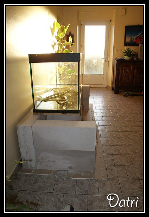 http://electra67.free.fr/1300%20litres/DSC07043%20copie.jpg