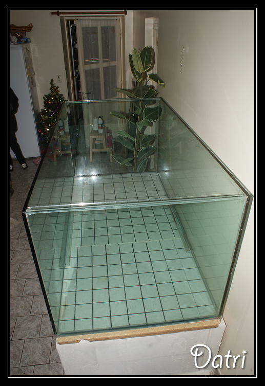http://electra67.free.fr/1300%20litres/DSC07621%20copie.jpg