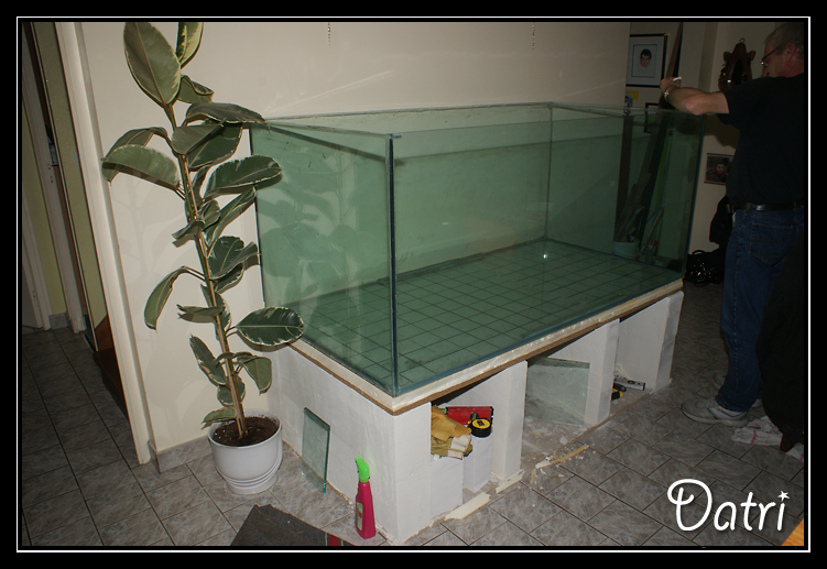 http://electra67.free.fr/1300%20litres/DSC07623%20copie.jpg