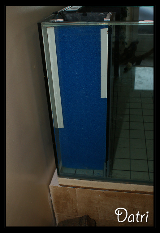 http://electra67.free.fr/1300%20litres/Filtration.jpg