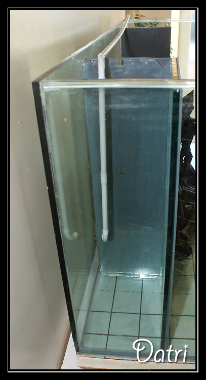 http://electra67.free.fr/1300%20litres/d%e9cante%20cot%e9.jpg